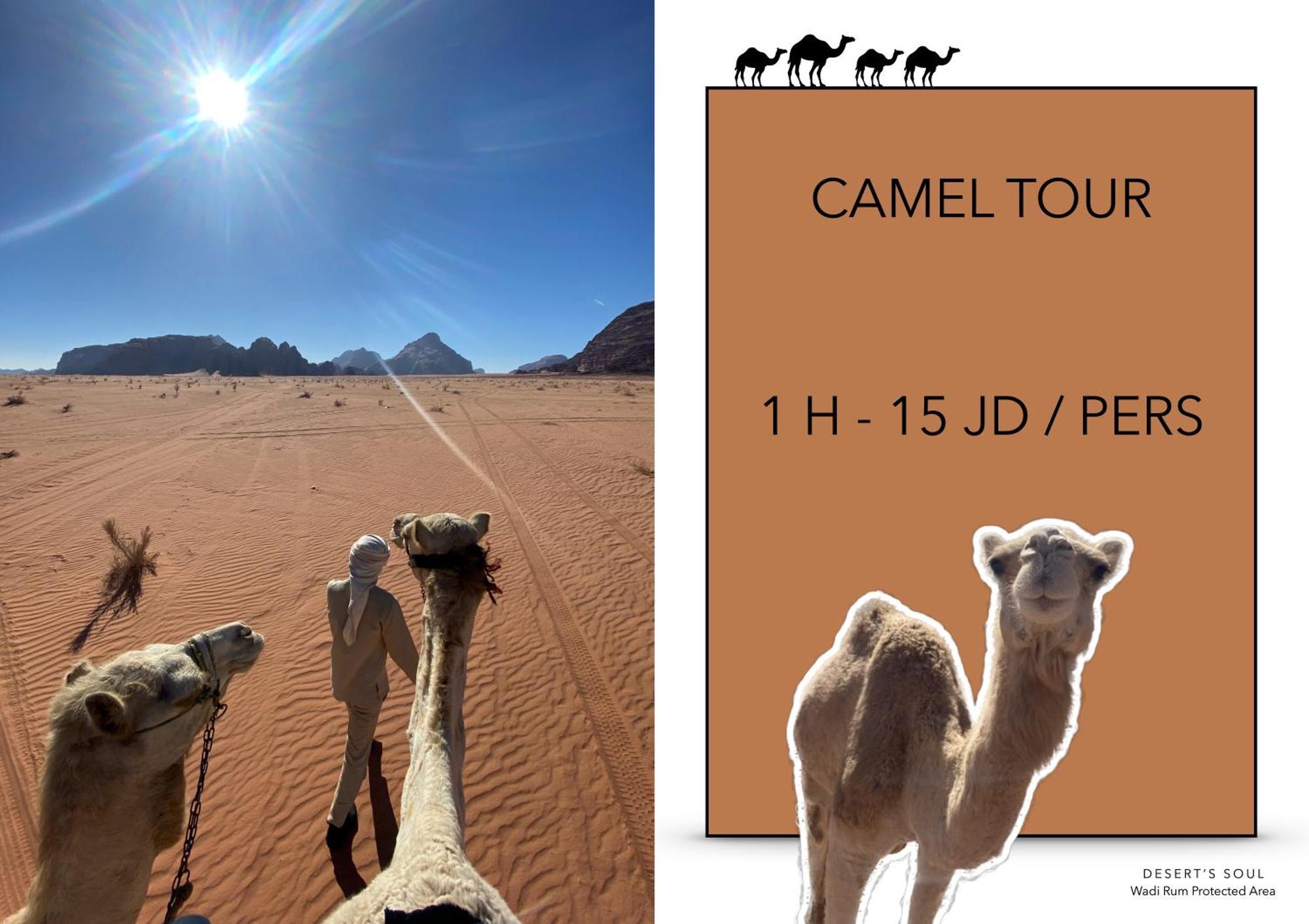 Desert'S Soul Wadi Rum Ad Disah Экстерьер фото