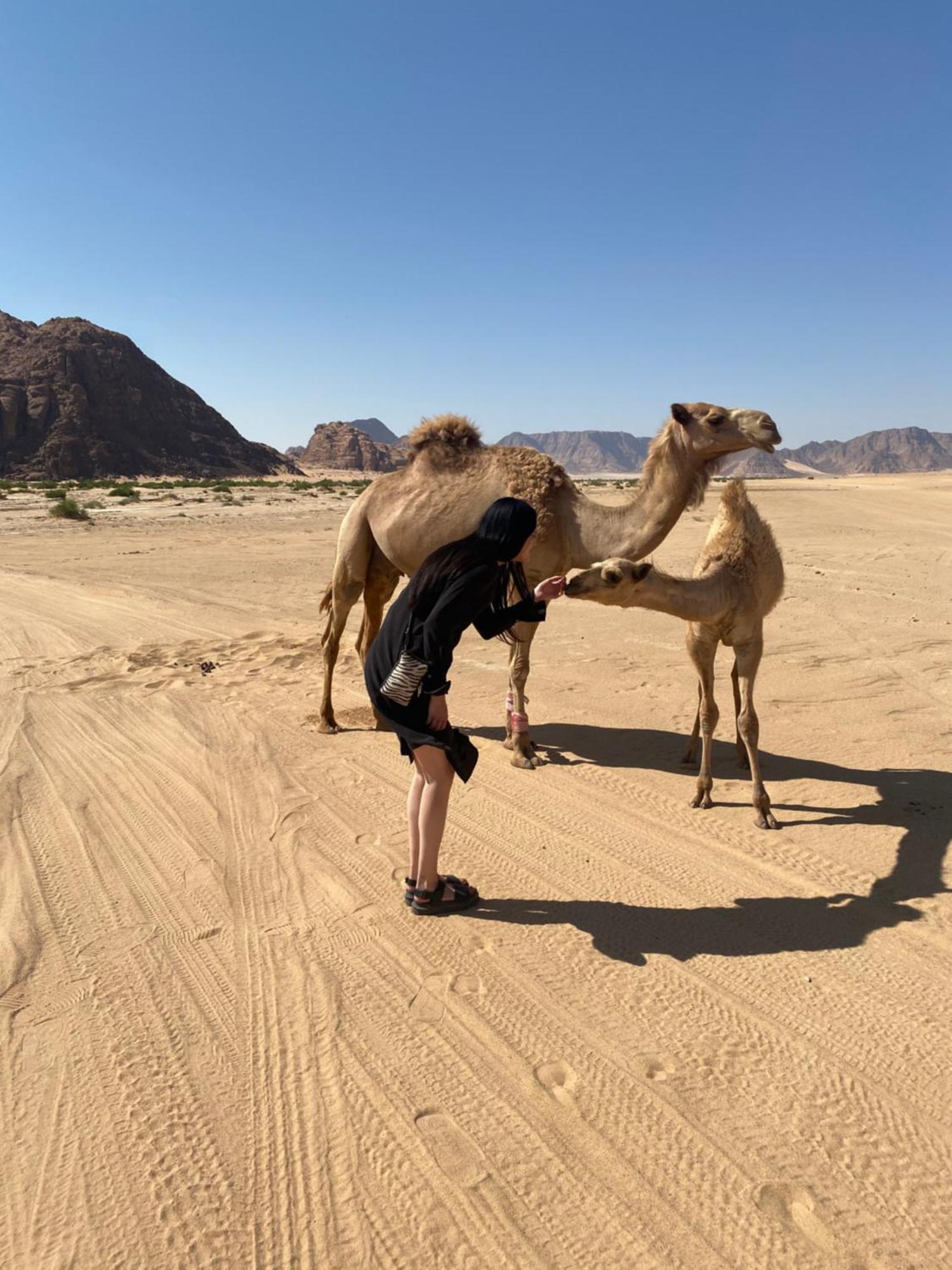 Desert'S Soul Wadi Rum Ad Disah Экстерьер фото